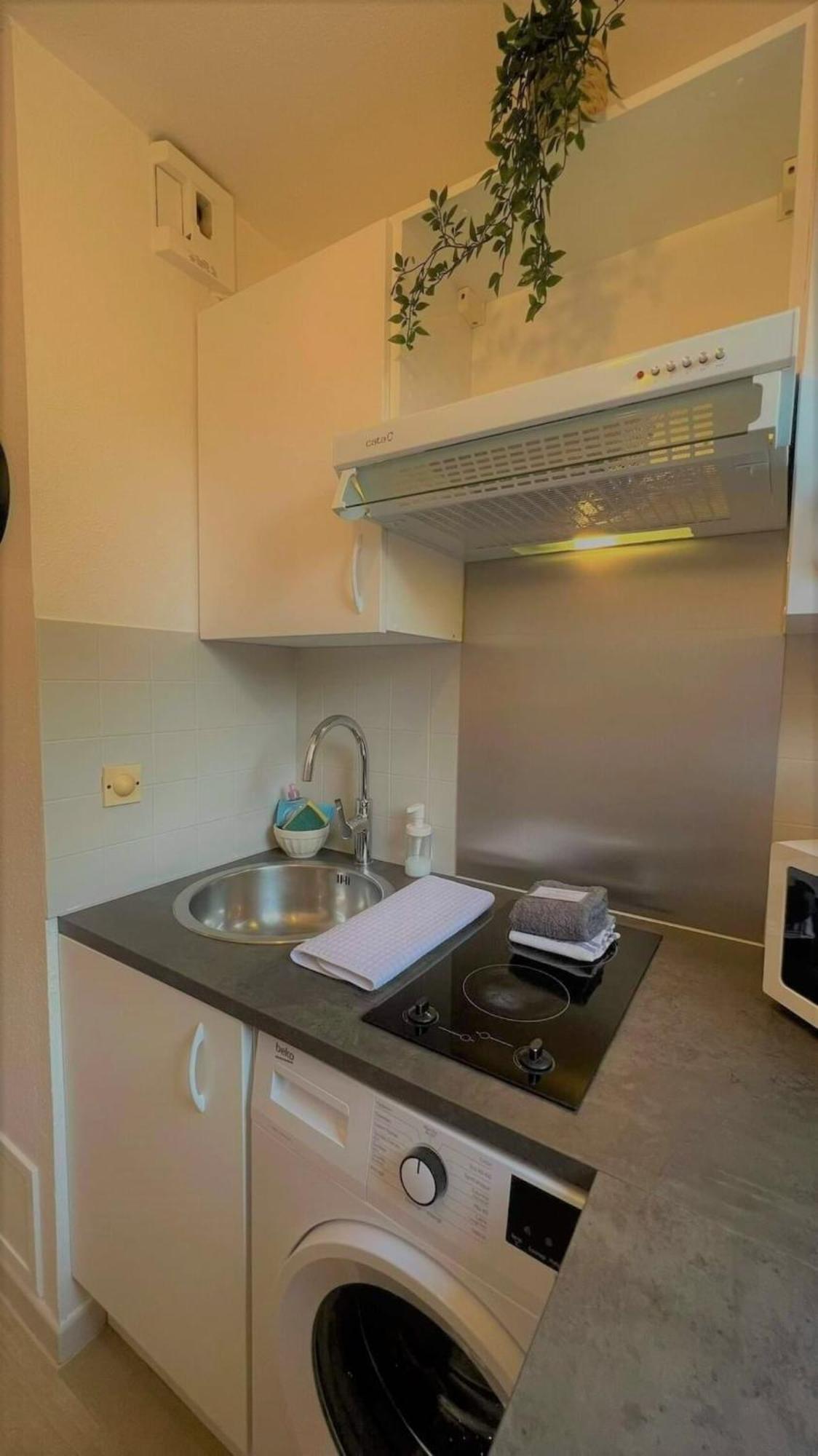 Appartement Les Muses - avec piscine, parking&jardin privé ! à Toulouse Extérieur photo